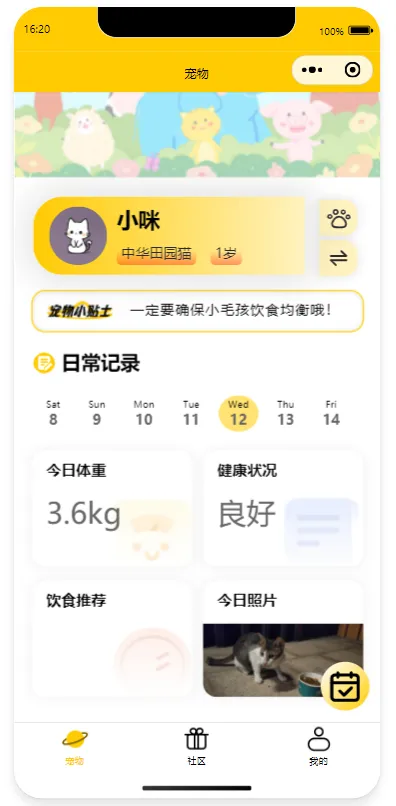 宠物主页 · 已记录状态